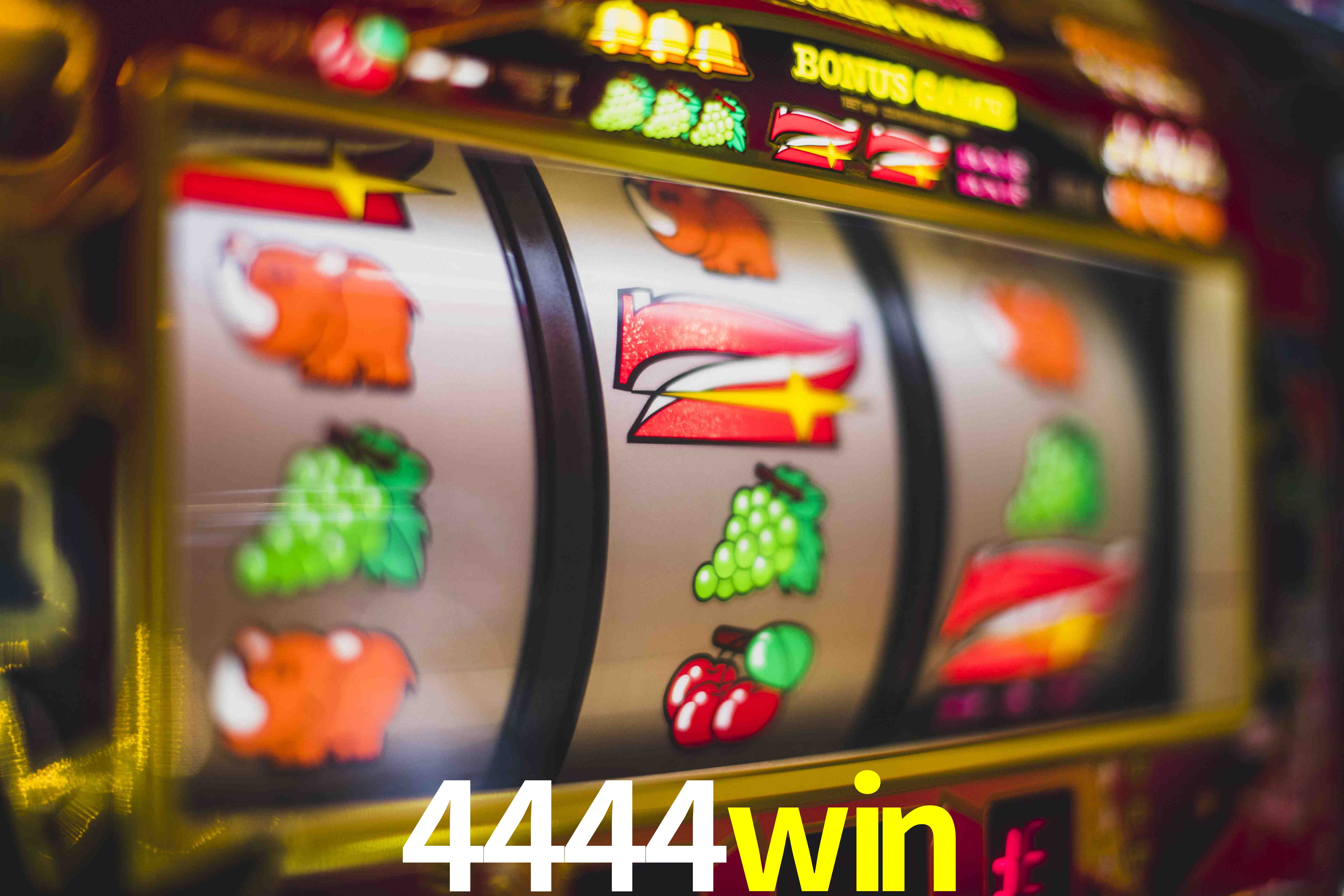 Experiência VIP 4444win